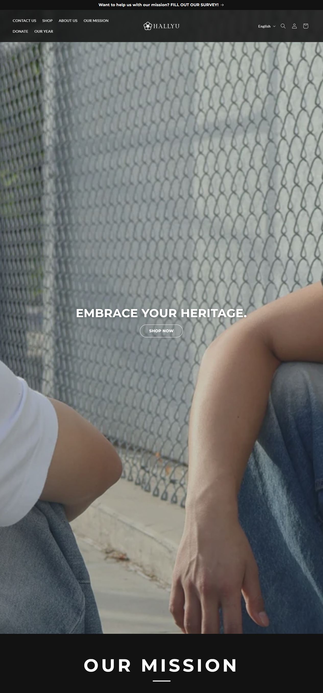 Hallyu Nation website homepage preview